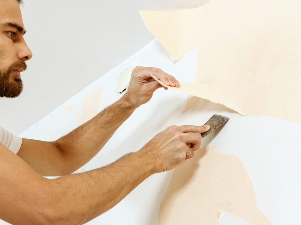 Wallpaper Removal Services