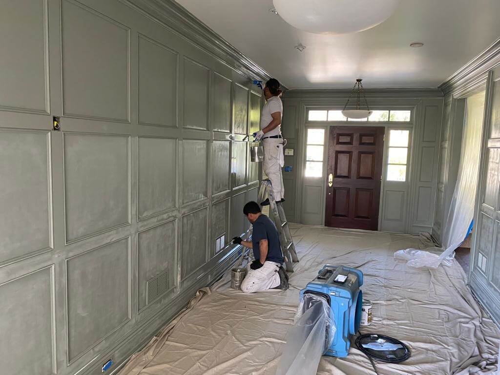 Professional Interior Painters Near Me