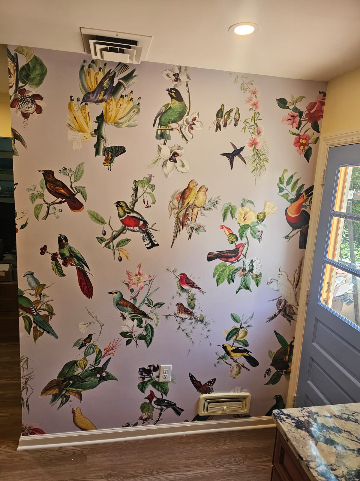 Interior House Painters in Madison NJ